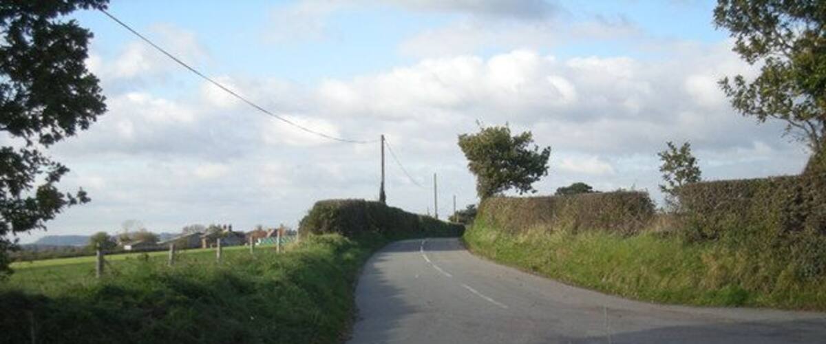 A rural road curving through a countryside with grassy fields and a hedge on one side.