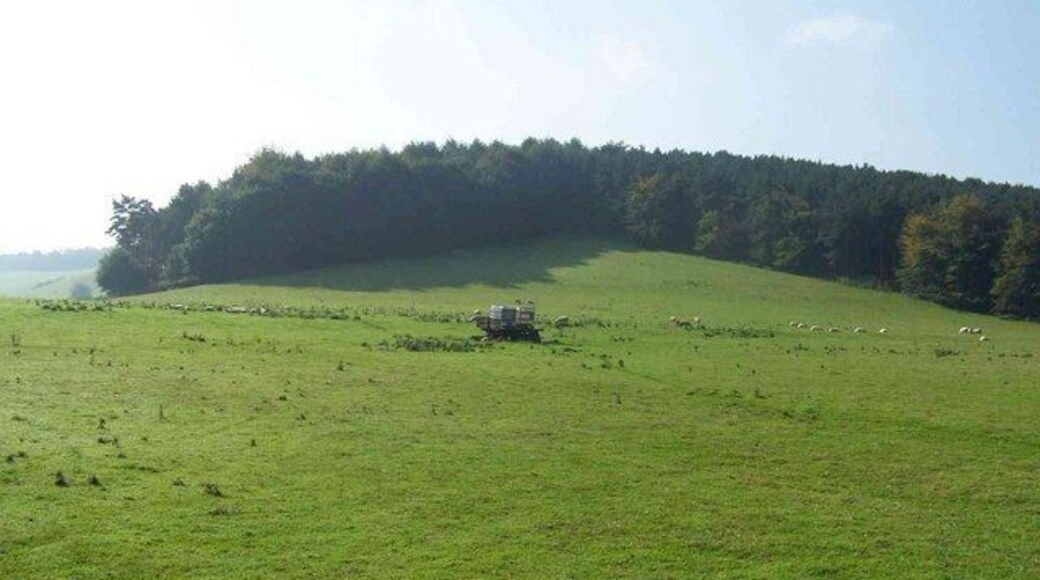View From The Heart Of England Way