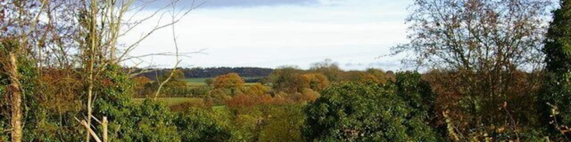 Rural Shropshire View towards Halfpenny Green Vineyard from the Old Gate Inn at Heathton