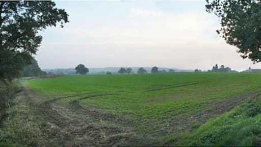 Farmland at Osbaston Lodge Farm A bridleway follows the line of the hedge to the left.