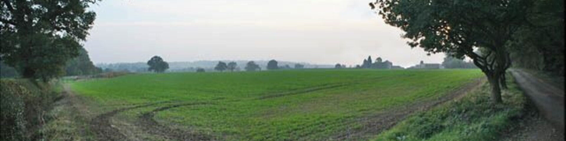 Farmland at Osbaston Lodge Farm A bridleway follows the line of the hedge to the left.