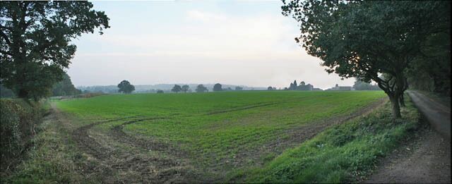 A rural landscape with a dirt path, green fields, and trees.