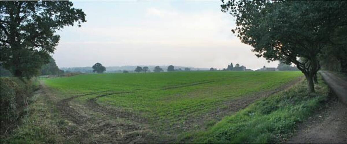 A rural landscape with a dirt path, green fields, and trees.