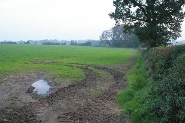 Farmland near Osbaston, Leicestershire