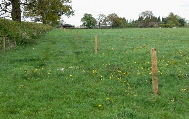 Field near Heath Farm