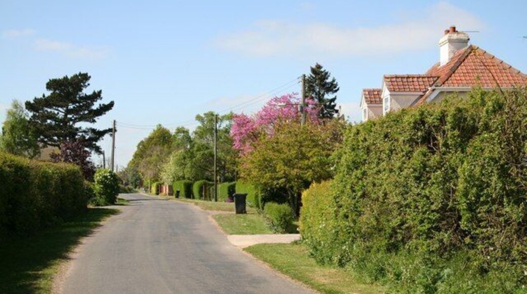 Barlings Lane Looking north near Manor Farm