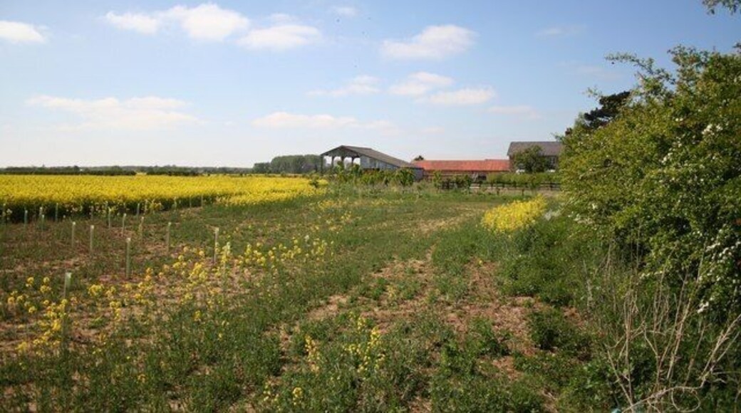 Langworth farmland Farmland and buildings at Manor Farm on Barlings Lane, Langworth