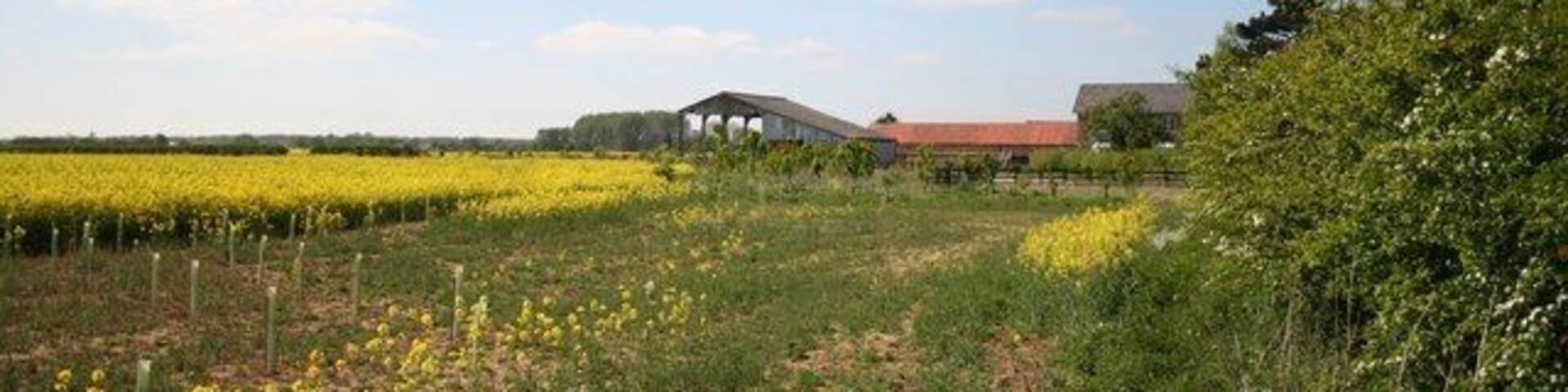 Langworth farmland Farmland and buildings at Manor Farm on Barlings Lane, Langworth