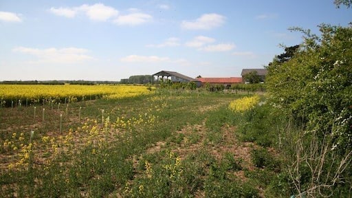 Langworth farmland Farmland and buildings at Manor Farm on Barlings Lane, Langworth