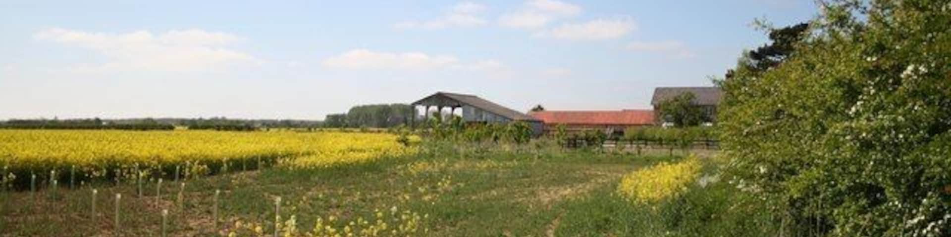 Langworth farmland Farmland and buildings at Manor Farm on Barlings Lane, Langworth