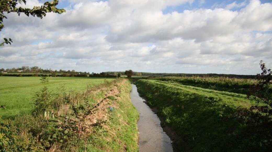 Barlings Drain Drain flowing towards Barlings Eau from Barlings Lane near Langworth