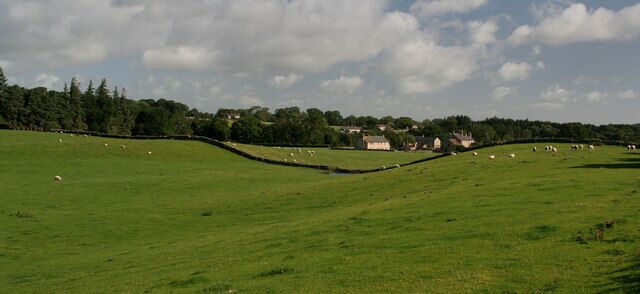 A green field with sheep, a stone wall, and houses in the distance.