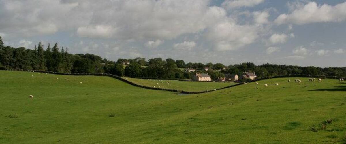 A green field with sheep, a stone wall, and houses in the distance.