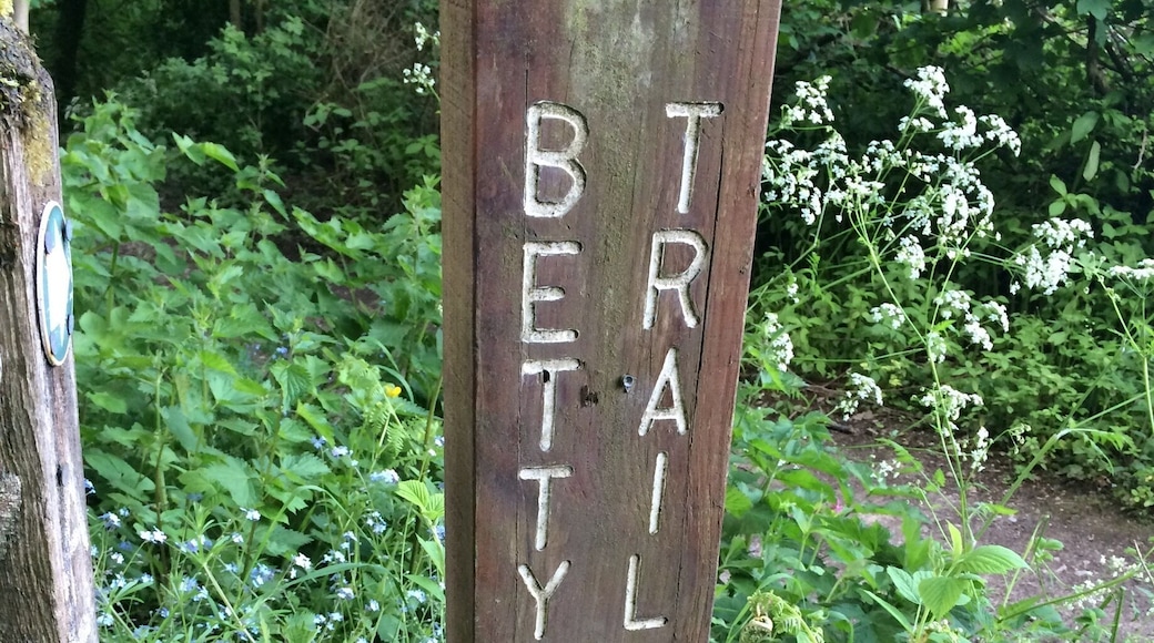 stumbled on this walk but could not past through..a bit of a mistery