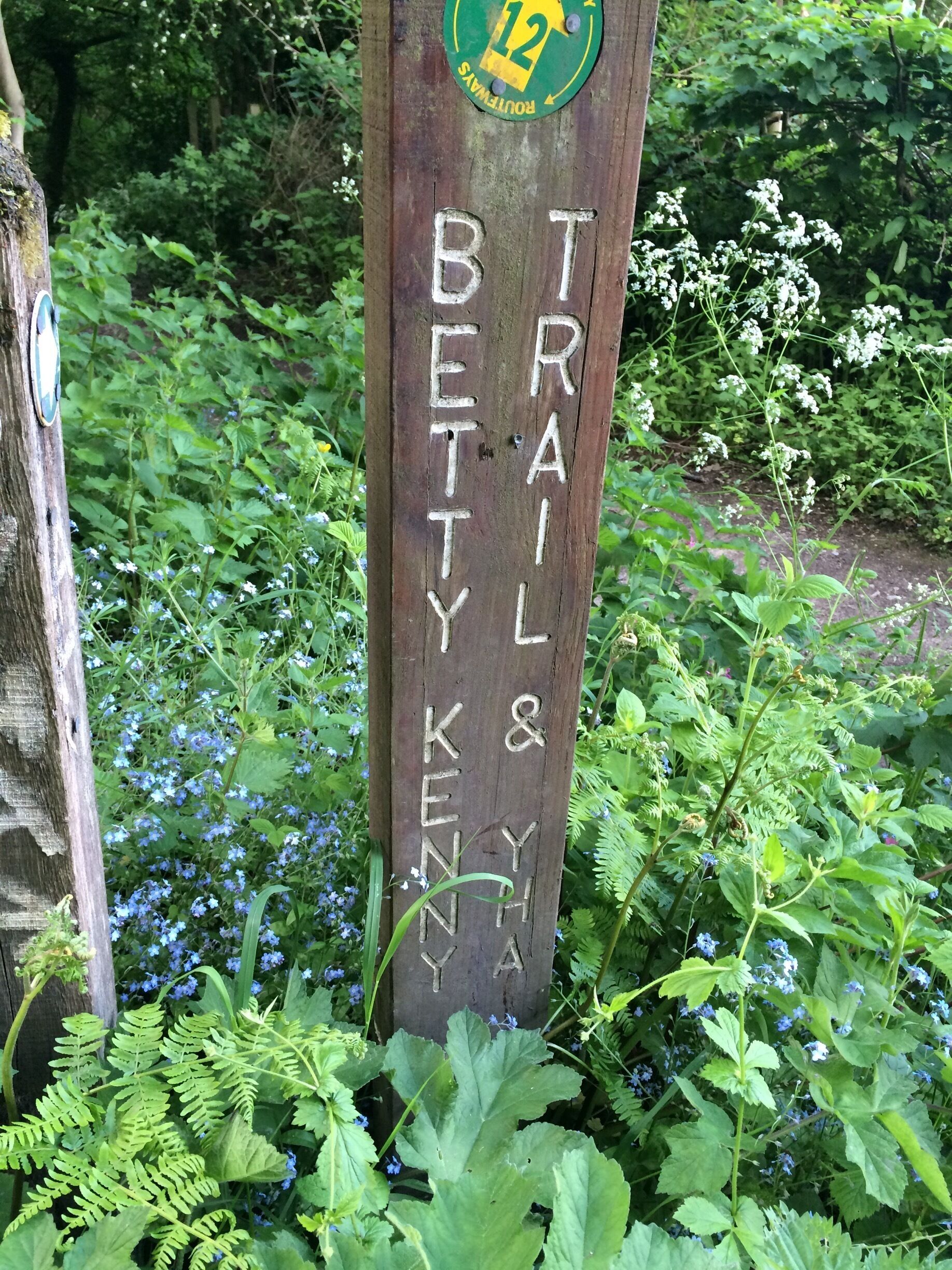 A wooden post with 'BETTY KENNY TRAIL' carved into it, surrounded by lush greenery and small blue flowers.
