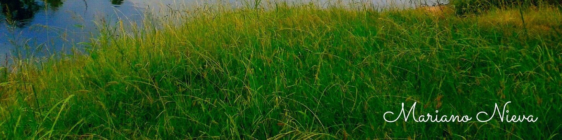 Bonito Lago en la localidad de Marcos Juárez, provincia de Córdoba.