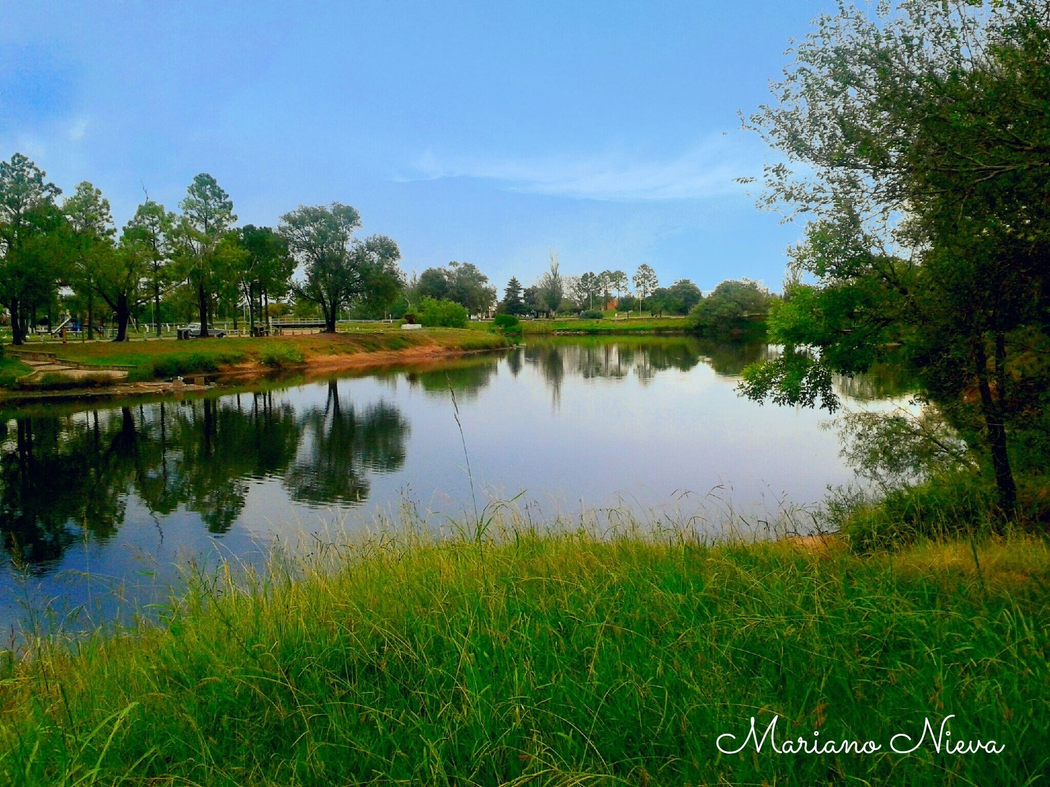 A calm lake surrounded by trees and grassy areas.