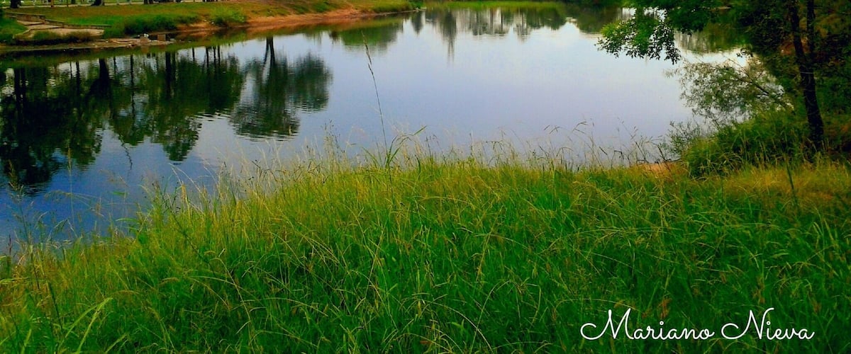A calm lake surrounded by trees and grassy areas.