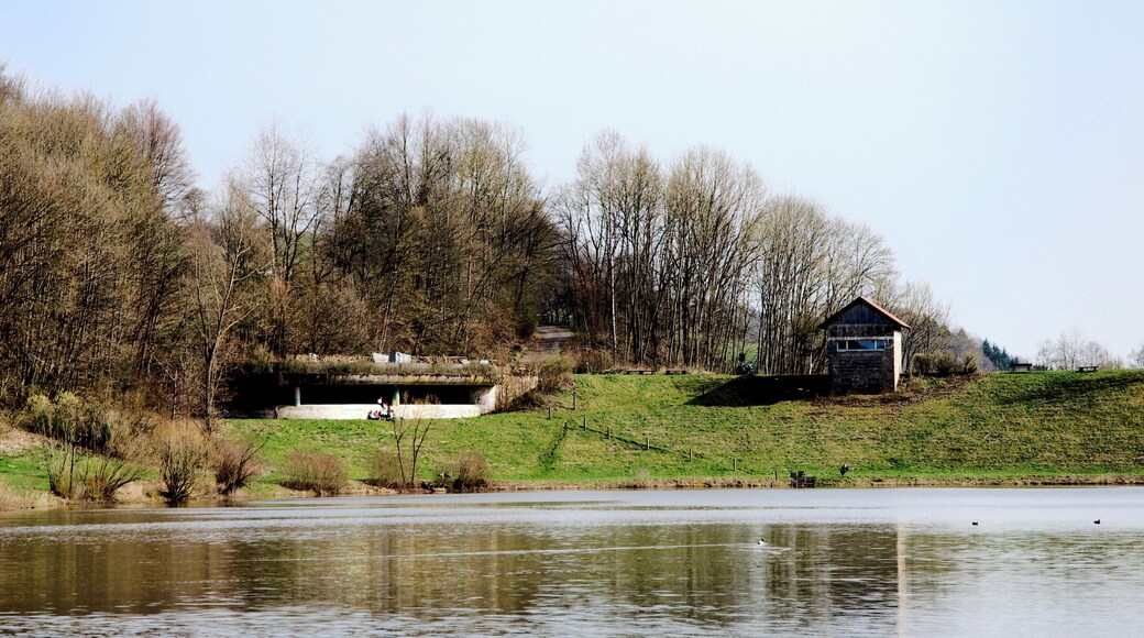 Hochwasserrückhaltebecken Gnadental: Blick über den Stausee auf den Staudamm. Links die Hochwasserentlastungsanlage, rechts das Betriebsbauwerk.