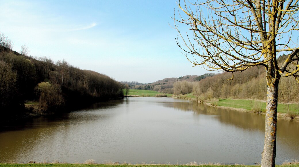 Hochwasserrückhaltebecken Gnadental: Blick vom der Staudamm auf den Stausee