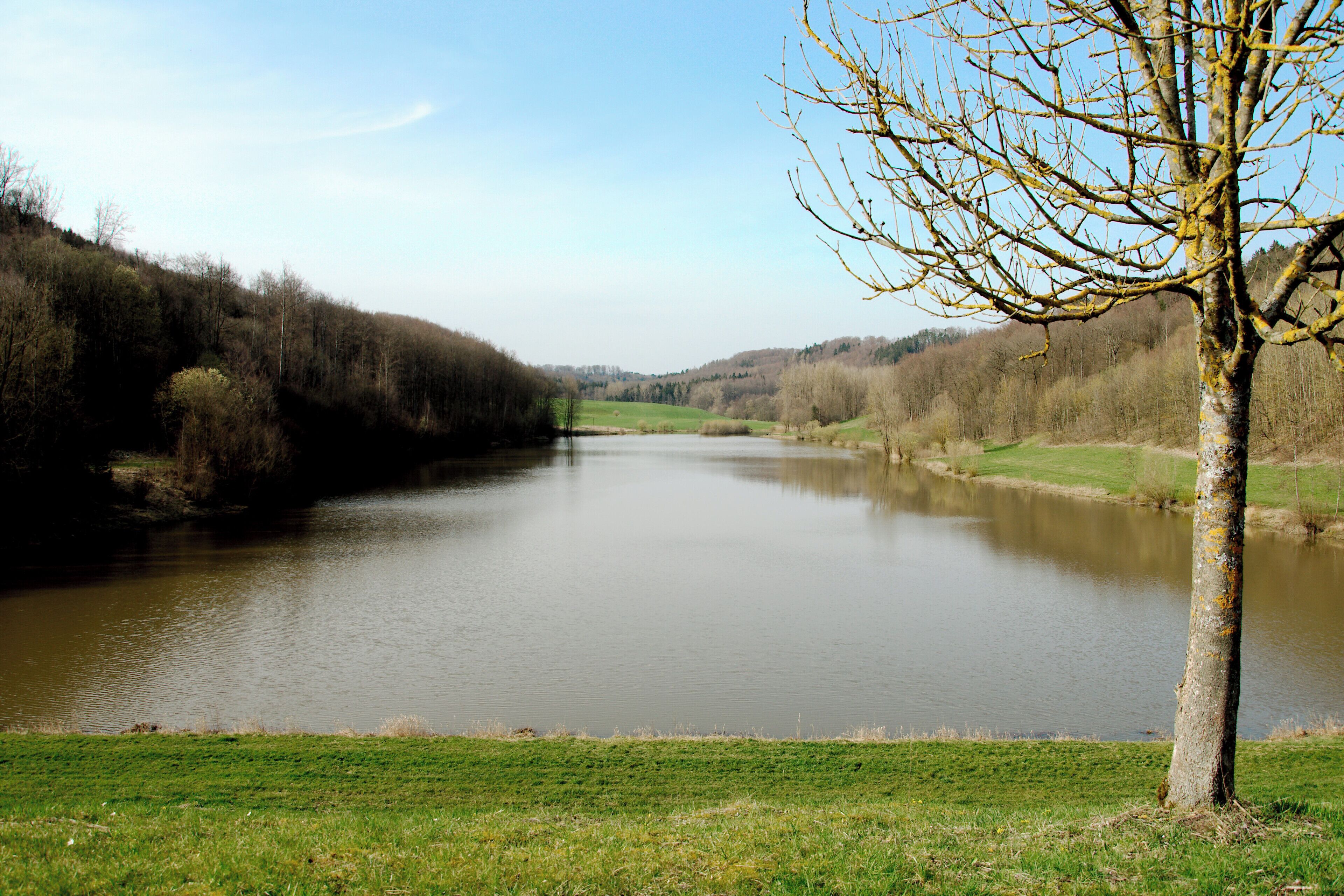 A river with a tree on the right bank.