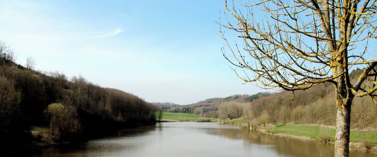 A river with a tree on the right bank.