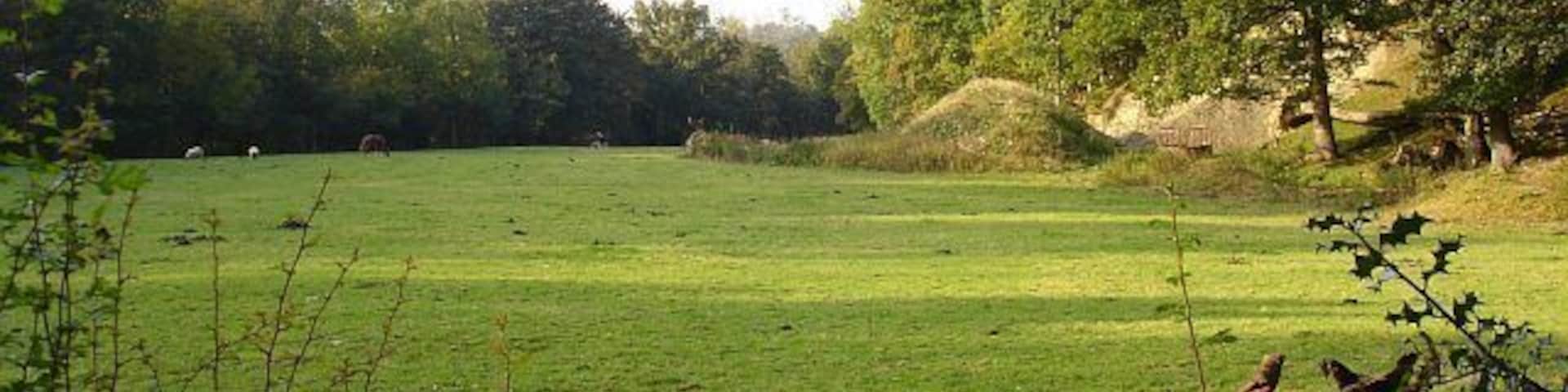 View from the churchyard St John the Evangelist, Pontrobert.
