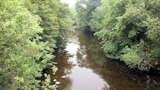 Afon Vyrnwy from Pontrobert Bridge