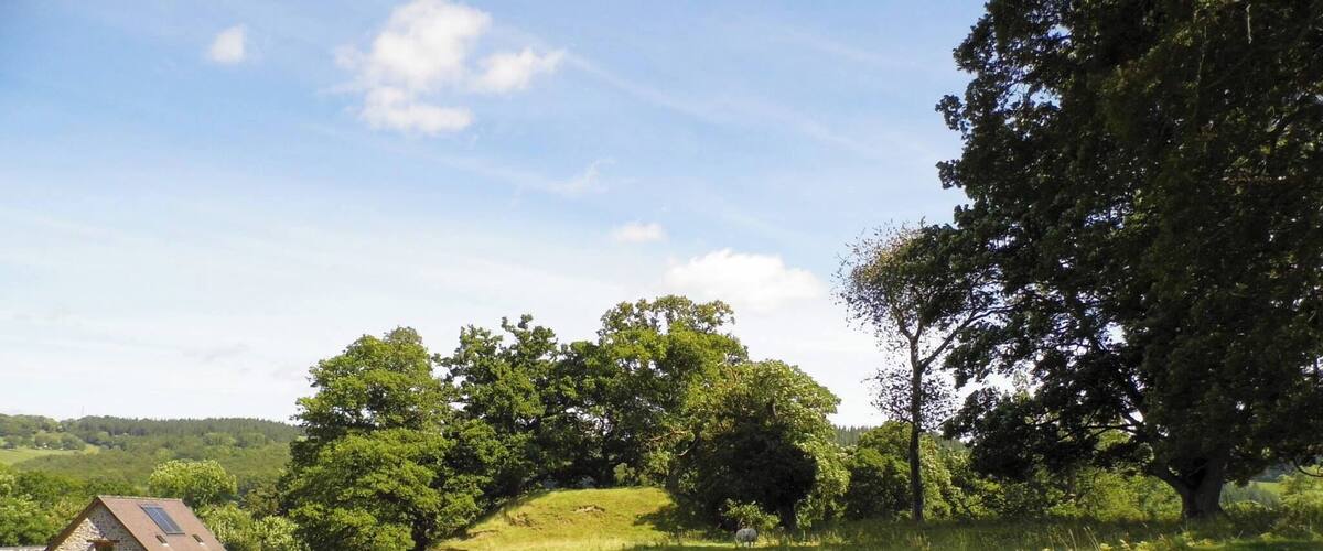 A rural landscape with a stone house, rolling hills, and dense trees.