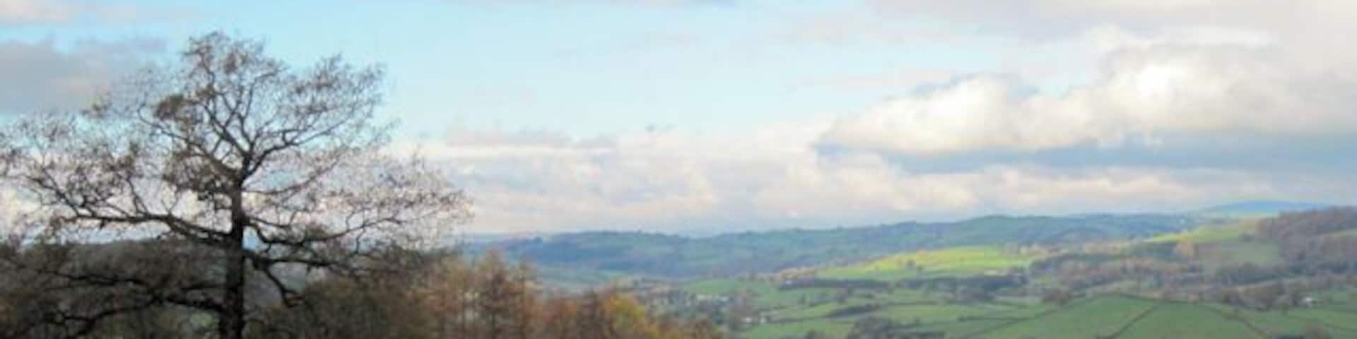 A grassy hill with a tree, cows grazing, and a distant view of rolling hills and a cloudy sky.