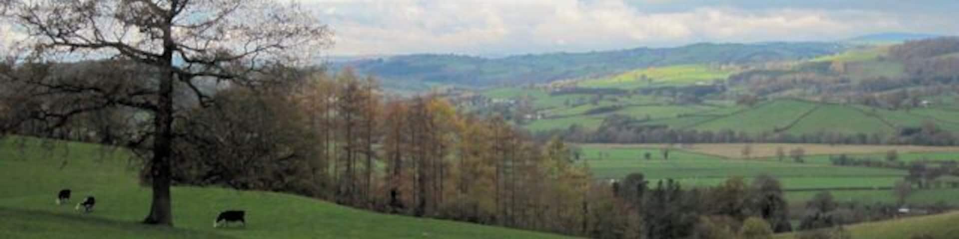 Pasture near Tycerrig