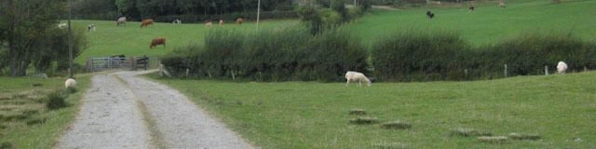 Blowty Farm, Llangadfan