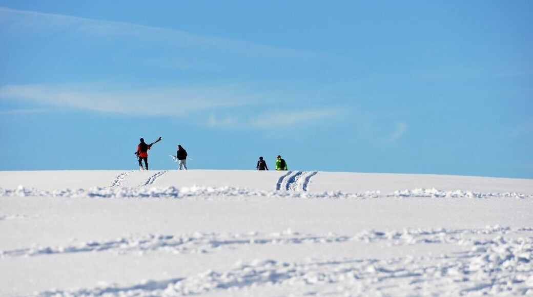 Majella National Park Winter 2013