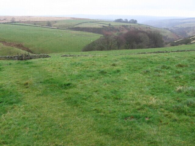 Footpath towards Abney Grange