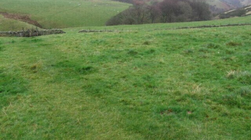 Footpath towards Abney Grange