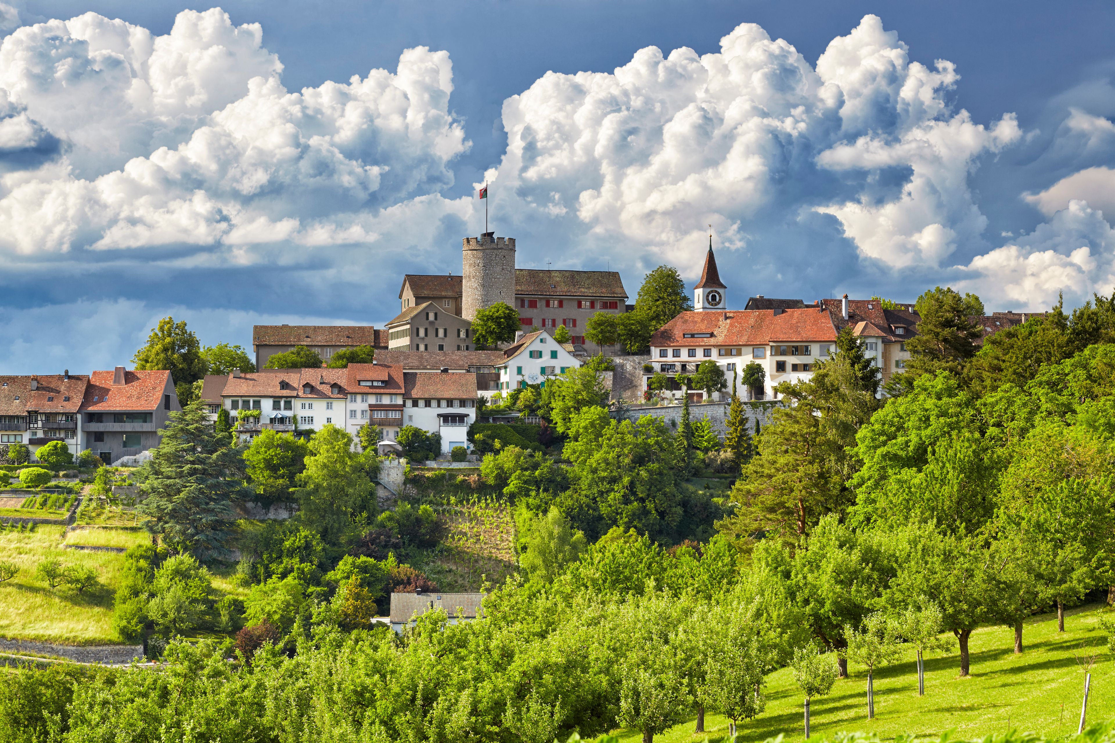 Eine historische Stadt mit einem markanten Turm und Kirche, umgeben von üppiger Vegetation und Weinbergen.