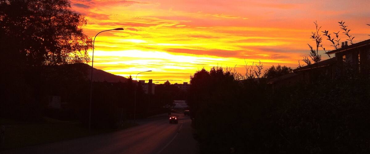 A sunset over a road with trees and buildings on either side.