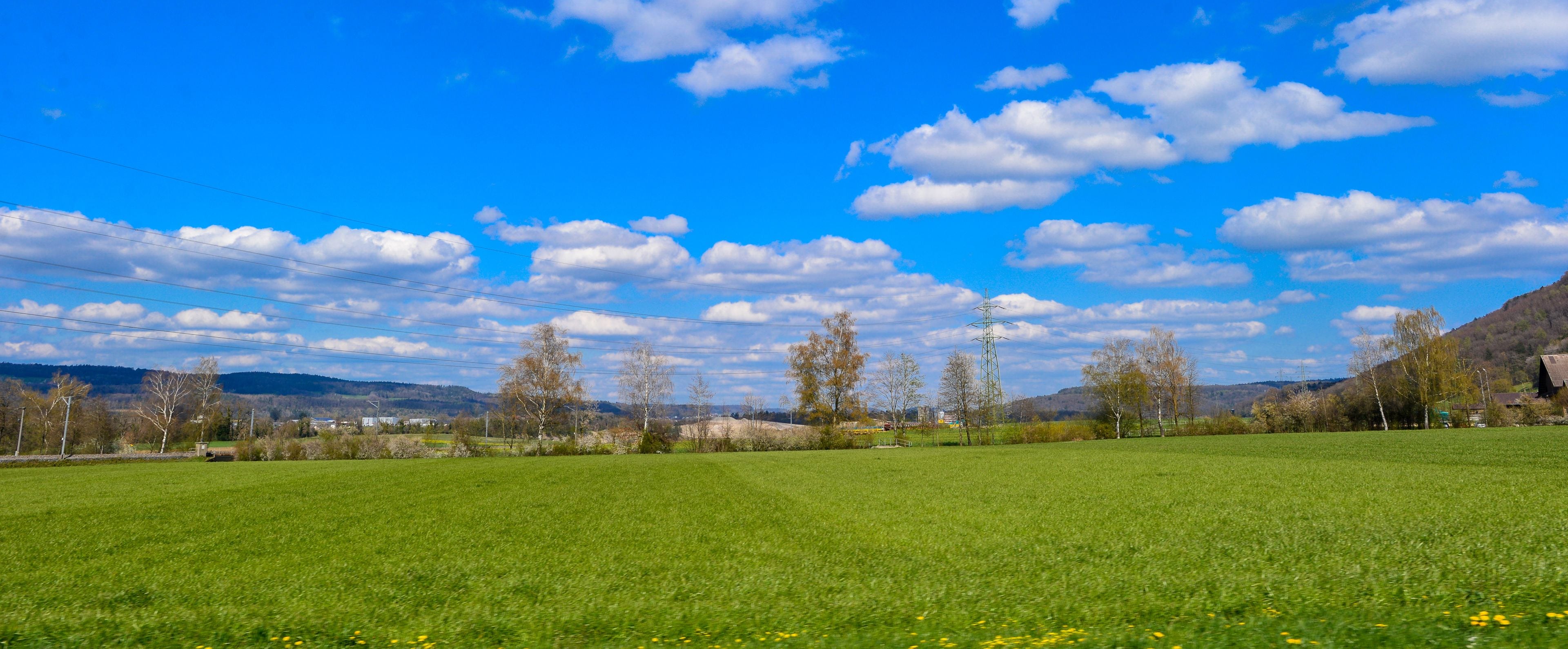 Niederhasli