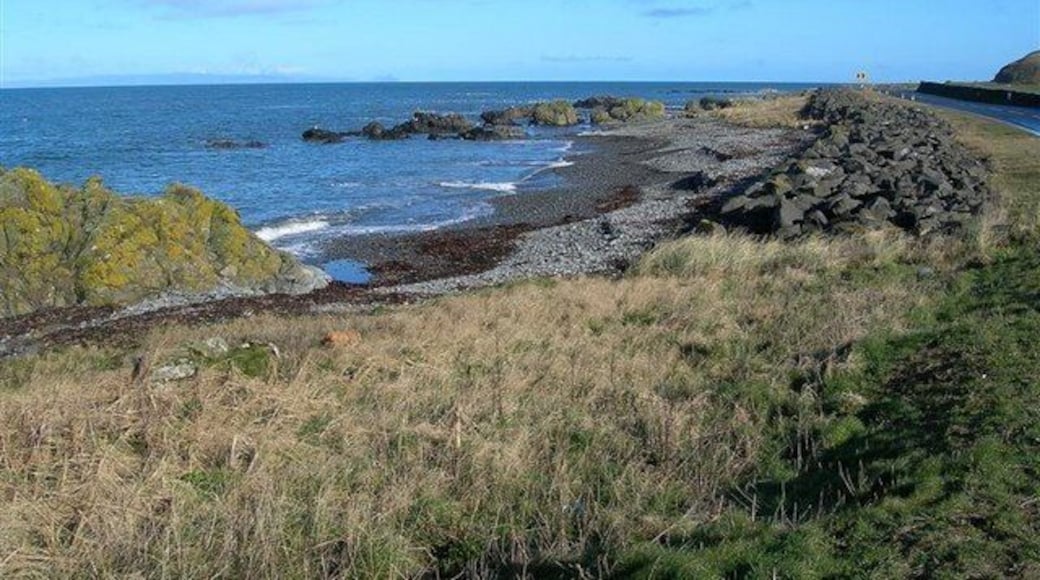Shoreline View Looking northwards, with the A77 on the raised beach on the right-hand edge of the photo.