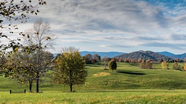 A grassy hillside with trees and a mountain range in the background.