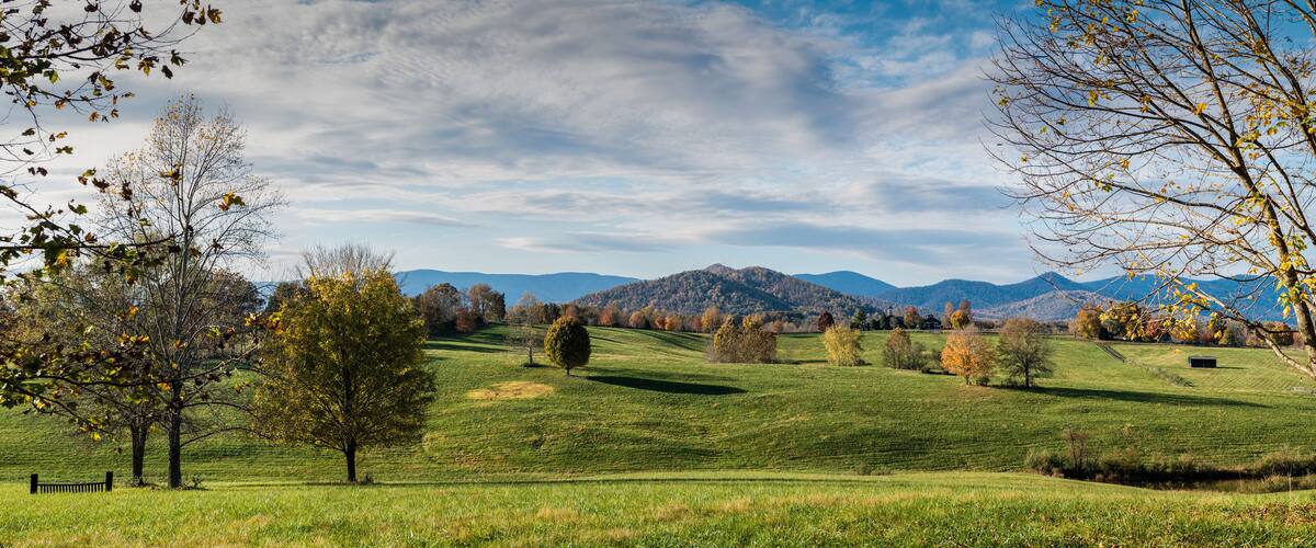 A grassy hillside with trees and a mountain range in the background.