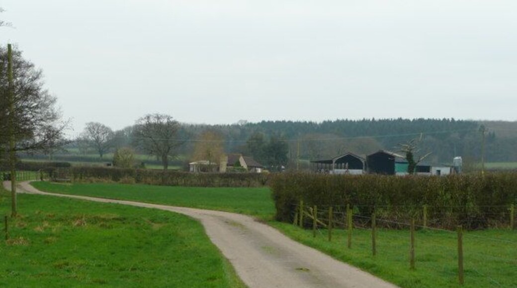 Drive to Henleaze Farm Off Dark Lane to the south of Witham Friary.