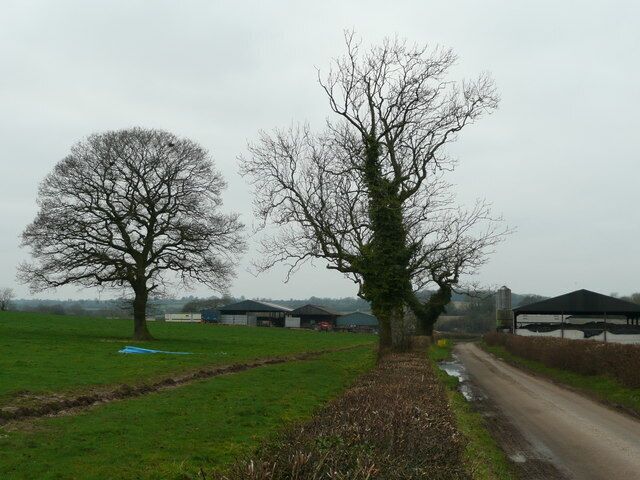 West Barn Farm Viewed from the east just south of the lane from Witham Friary.