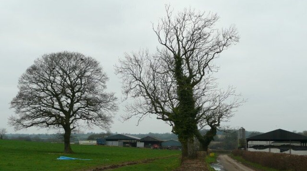 West Barn Farm Viewed from the east just south of the lane from Witham Friary.