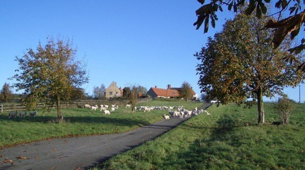 Uphoe Manor Farmhouse, Lavendon Uphoe Manor Farmhouse is 17th century, with alterations, and is Grade II listed. One of several other converted barns and outbuildings in the complex is also Grade II listed, and all stand within an elevated moated site overlooking Lavendon village and the River Great Ouse valley.