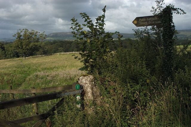 Footpath to Thrang Brow Lane, Yealand Storrs