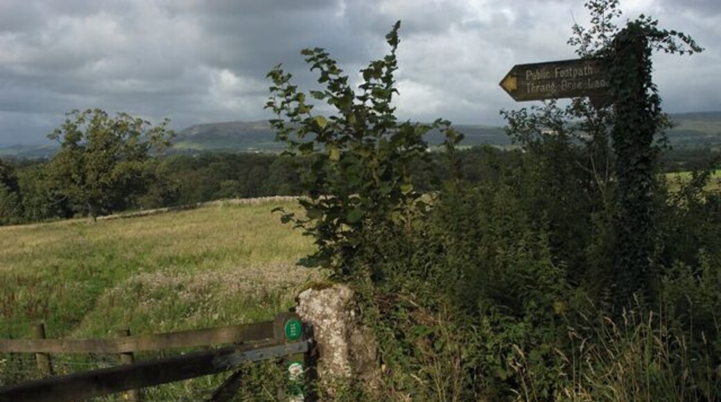 Footpath to Thrang Brow Lane, Yealand Storrs