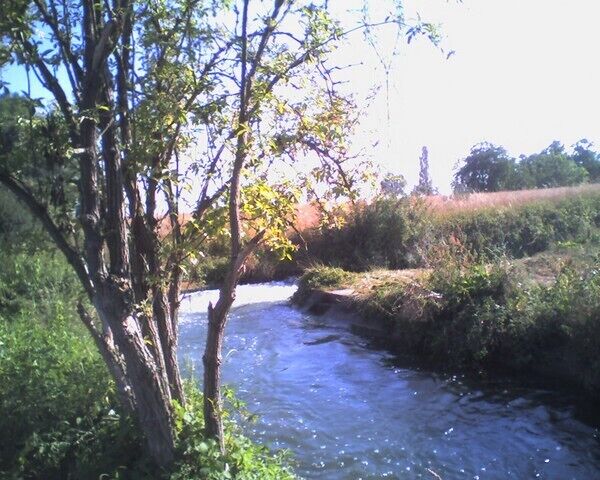 A river flowing through a wooded area with trees and greenery.