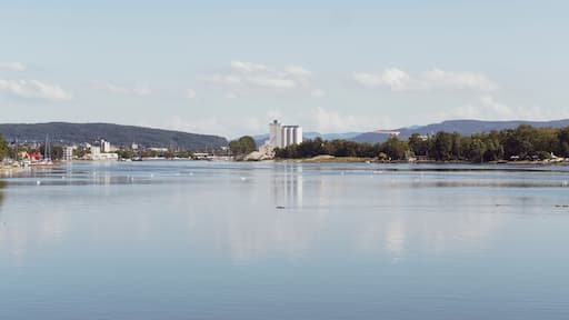 Ein ruhiger See mit Schwänen, einer Brücke und Fabrikgebäuden im Hintergrund.