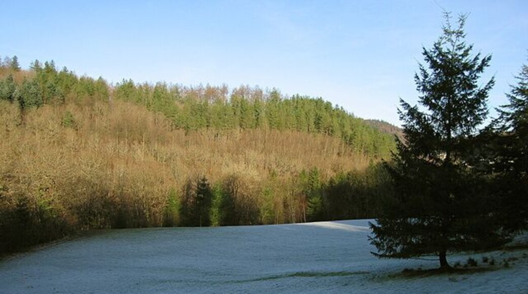 Gorge-top meadow At the western end of Pontrhydygroes, this meadow is perched atop the southern bank of the Ystwyth gorge. Following a cold spell, the grass is covered in a thick layer of hoarfrost.